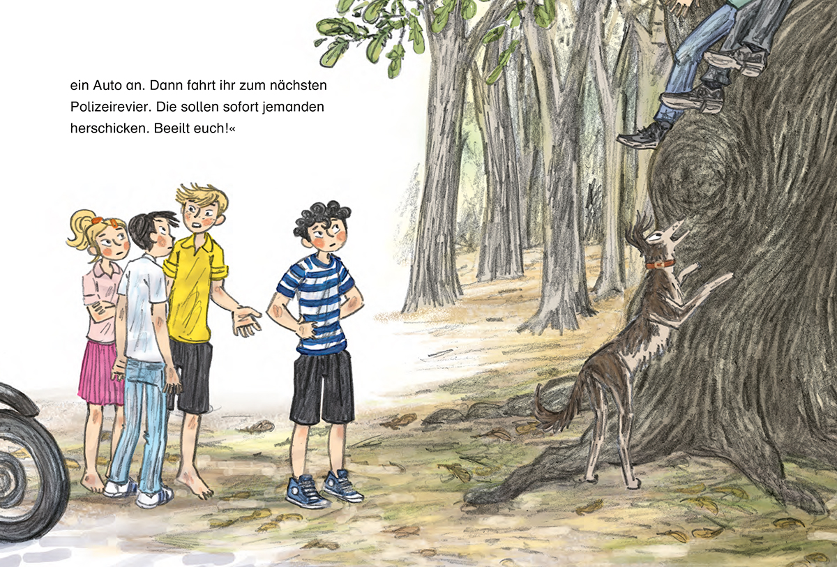 Die Fünf Freunde. Ein aufregender Waldausflug